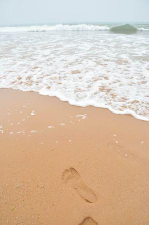 公司組織員工赴黃島、膠南兩日游
